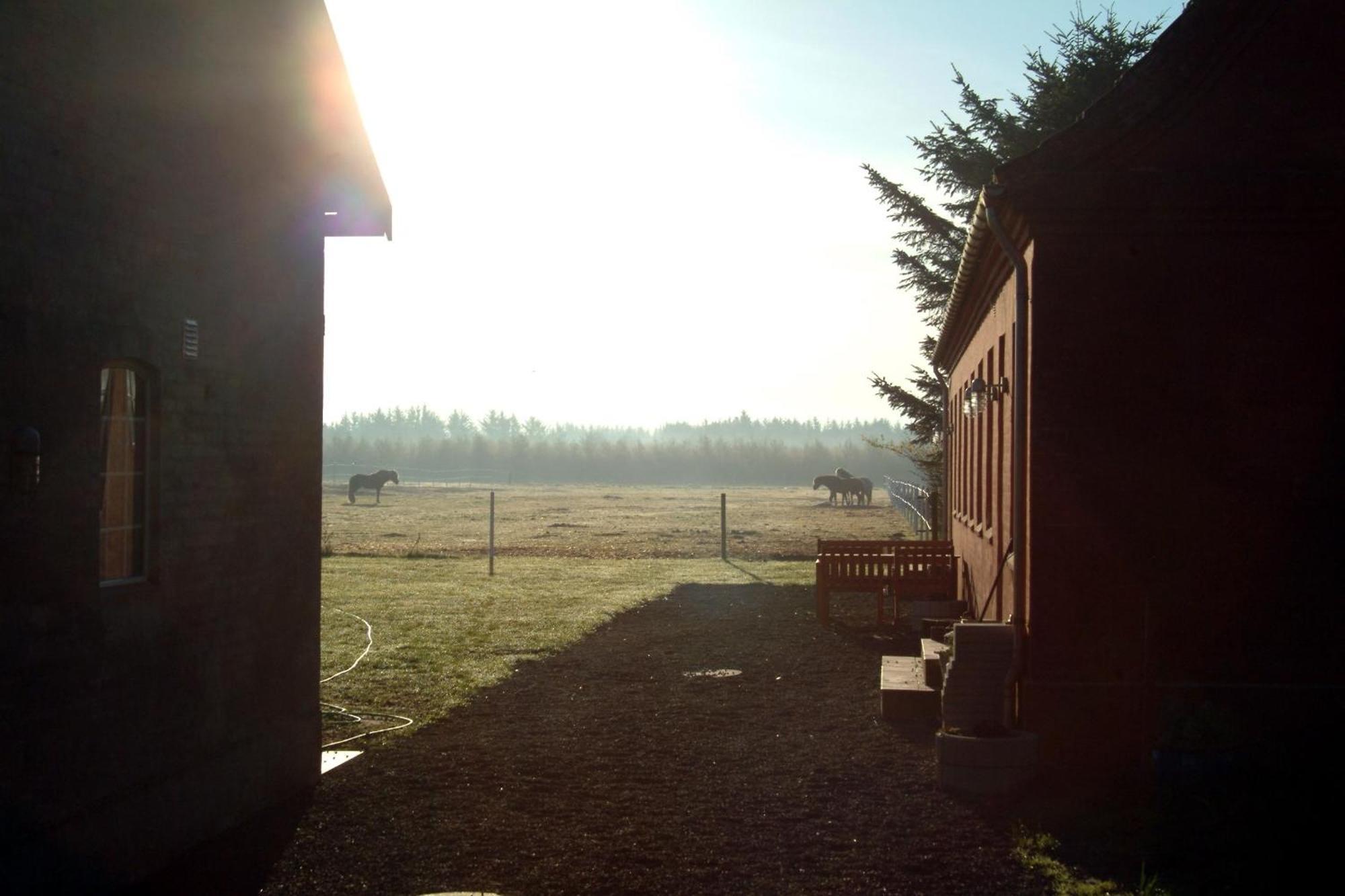 Nordkap Farm Holiday & Hostel Bindslev Eksteriør billede